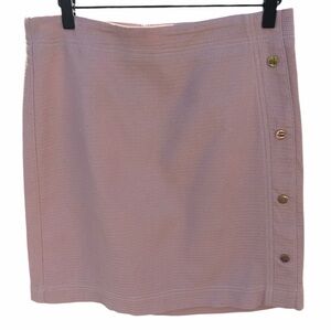 Ann Taylor “Rory Gilmore” Style Light Pink Skirt. Size 2.